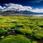 Conoce todo sobre la verdadera estrella de «Saltburn», la mansión inglesa donde ocurre todo »