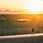 Las 10 Ciudades más limpias del mundo en el 2024 »