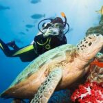 Los mejores autos del 2024 por menos de 20.000 dólares »