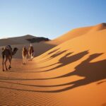 6 Escapadas de Lujo Escondidas en la Naturaleza »