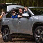 ¿Qué Viajes Son Ideales para Conectar con la Naturaleza Sin Cansarse Demasiado? »