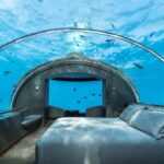 5 Lugares para Encuentros Increíbles con la Vida Salvaje »