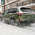 ¿Dónde están los túneles secretos que conectan historia y aventura bajo tierra? »