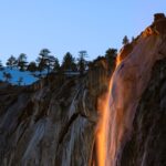 5 bosques encantados donde los árboles susurran leyendas olvidadas »