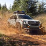 Los 5 parques marinos con buceo regenerativo para protección de corales »