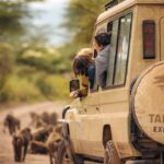 Los 5 pueblos del mundo que están pagando a nuevos residentes y cómo aprovecharlo como viajero de larga estancia en el 2026 »